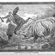 Illustration for article titled This gruesome 1889 biology book outlined the many ways animals will kill us